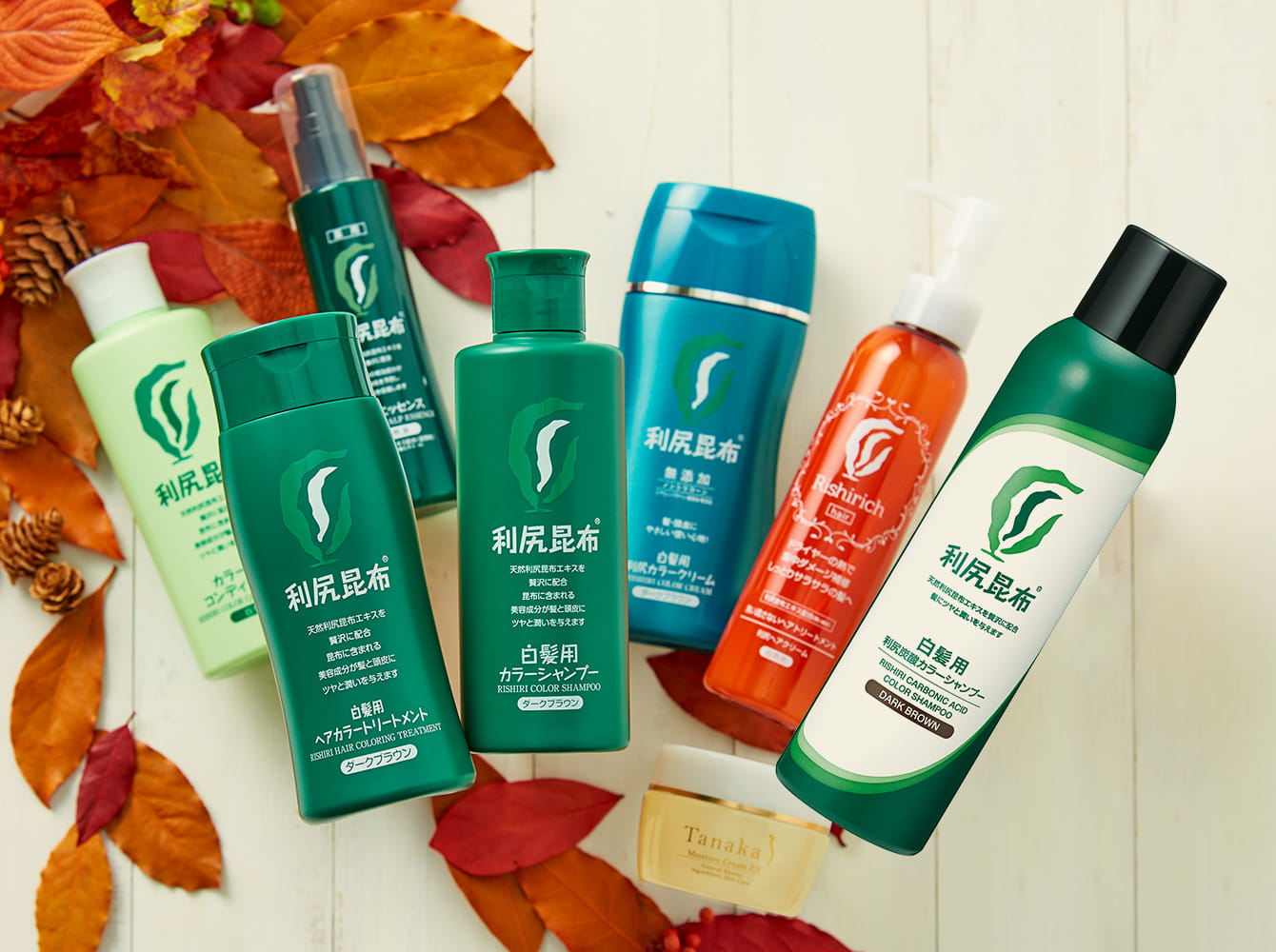 Sasttyイメージ画像